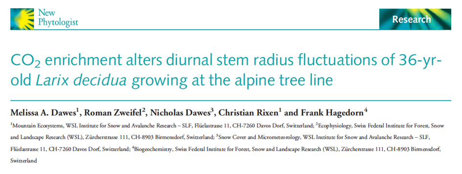 Publication in New Phytologist: CO2-effect on stem radius fluctuations