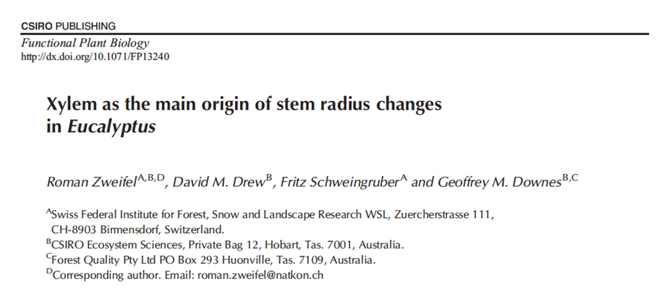 Publication in Functional Plant Biology: Xylem size changes