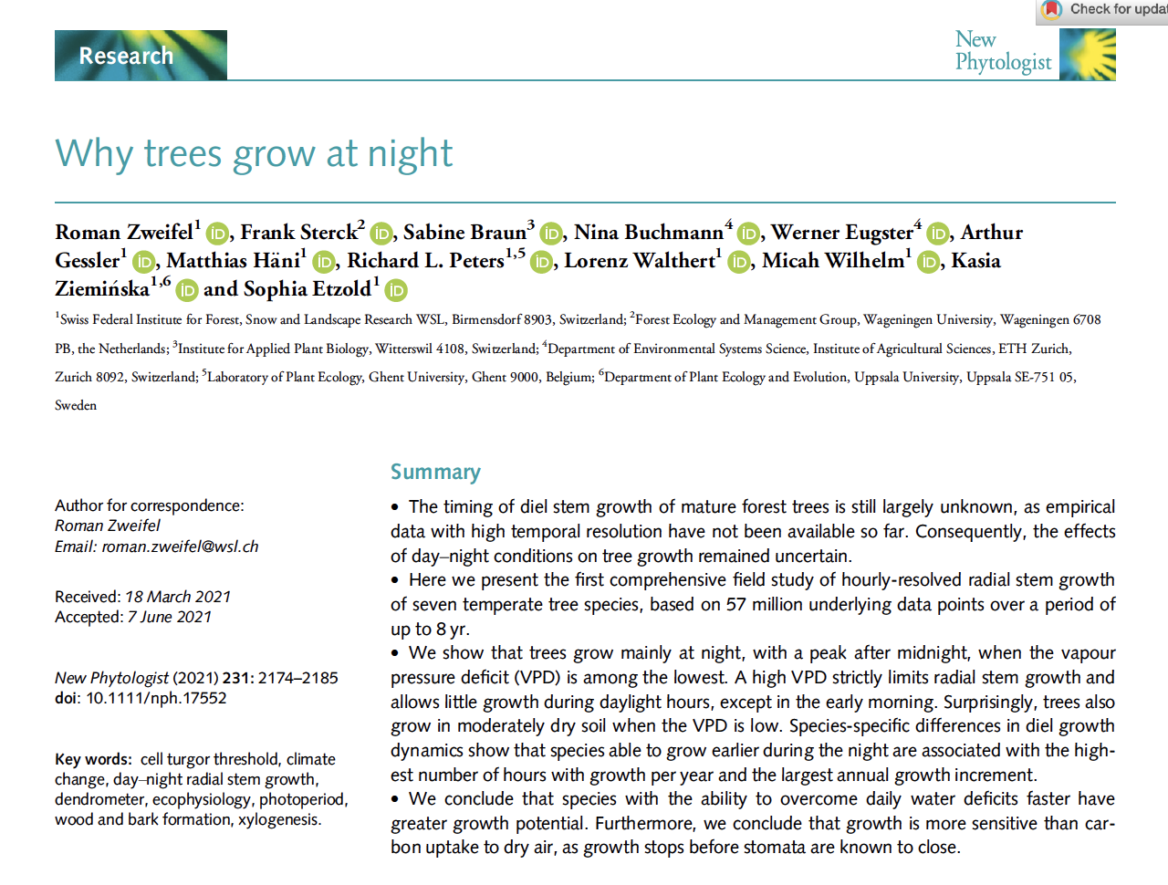 Why trees grow at night